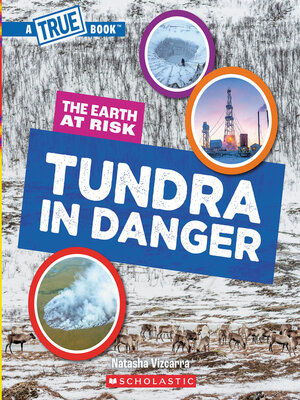 cover image of Tundra in Danger